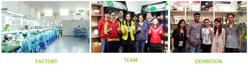 Glass Reed Diffuser Bottle