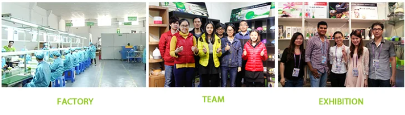 Fragrance Air Freshener