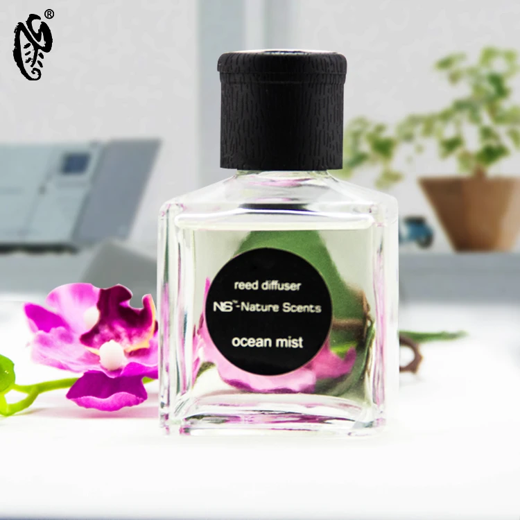 Home Fragrance Eco-friendly Glass Bottle Aroma Scented Essential Oil Reed Diffusers with Rattan Sticks Car air Freshener