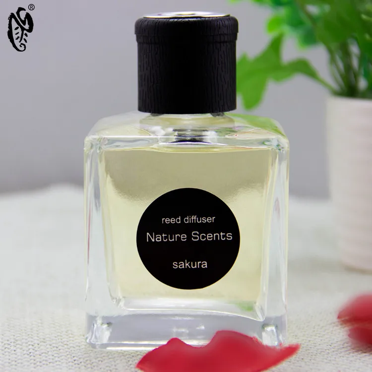 Customized Logo Home Fragrance Reed Diffuser 190ml Fireless Perfume with Conical Glass Bottle for Bedroom Toilet Deodorizing