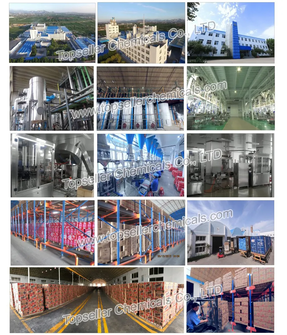 brand washing powders
