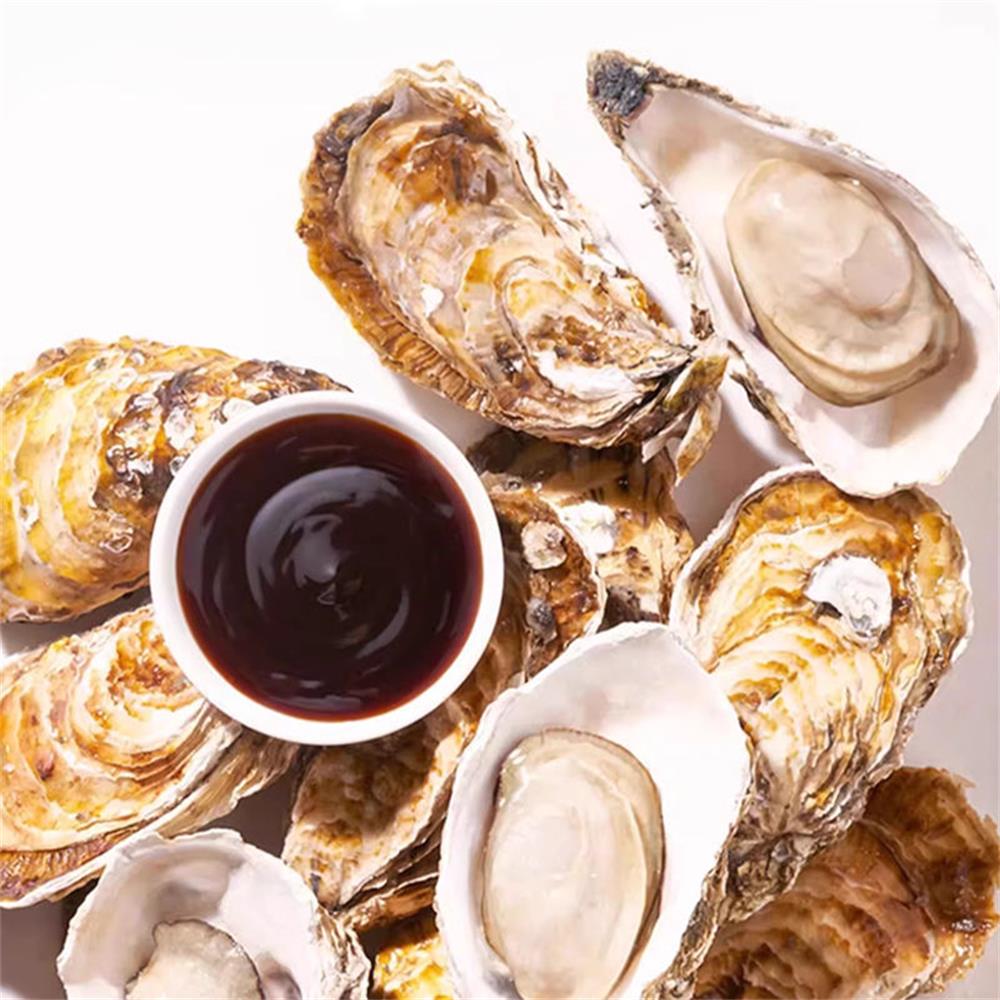 Concentrated Oyster Sauce