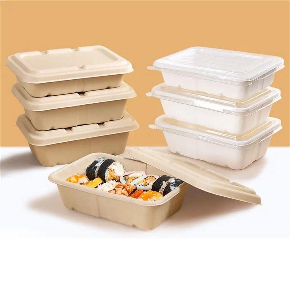 Disposable Food Boxes