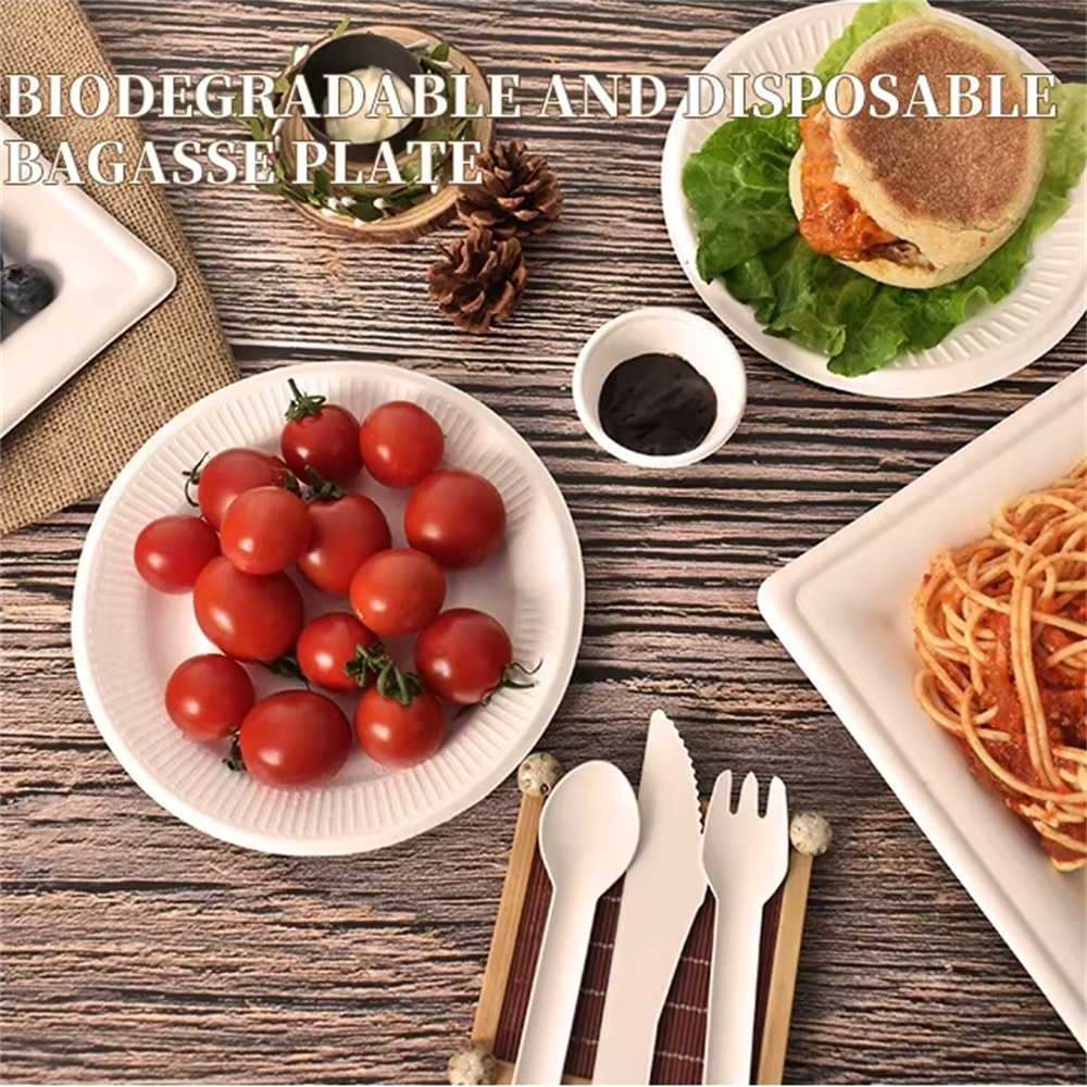 Disposable Food Plates