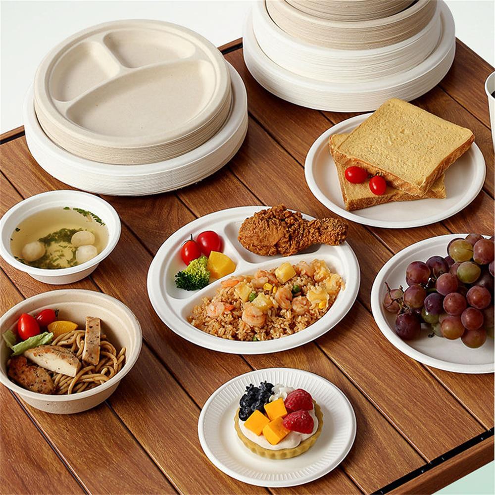 Disposable Food Plates