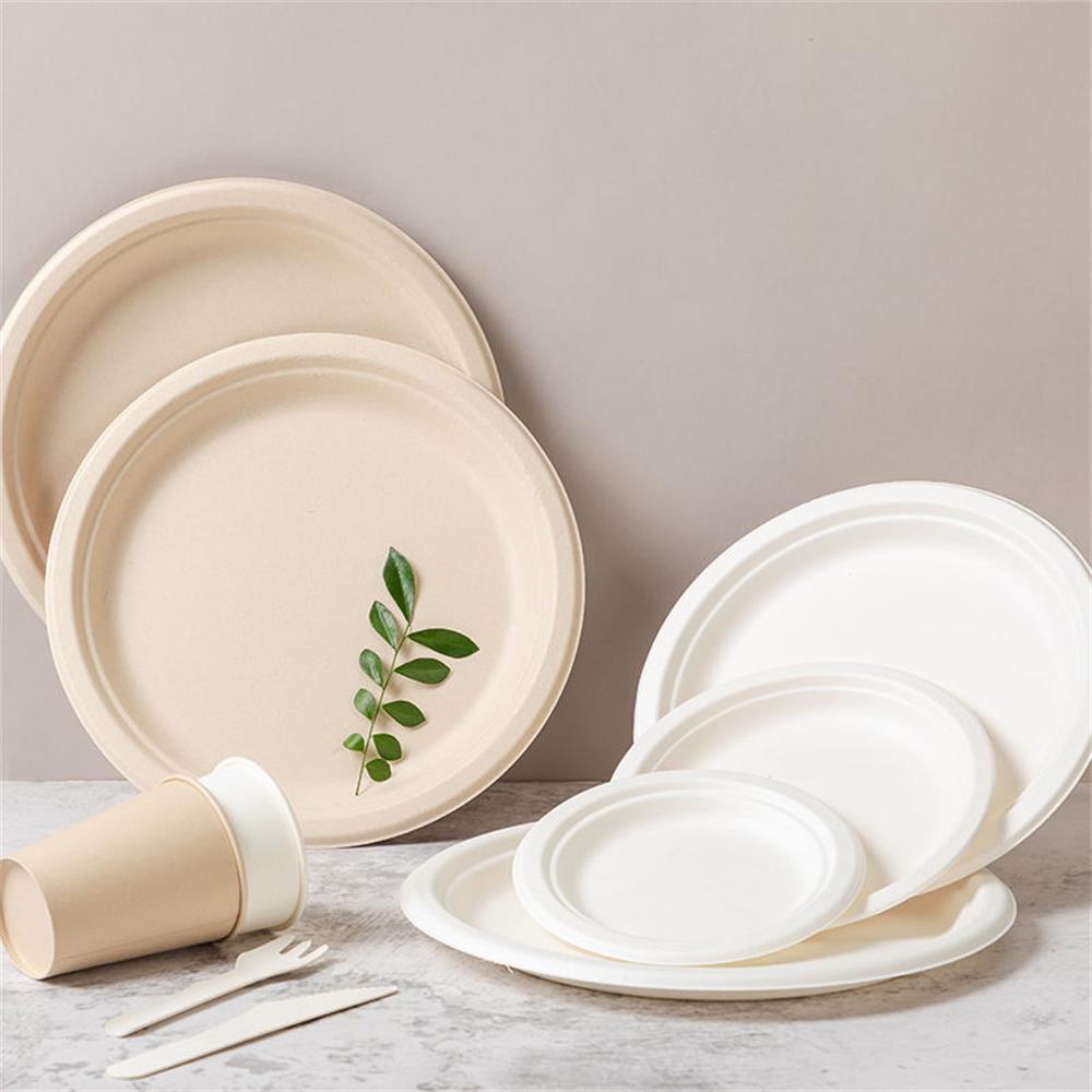 Disposable Food Plates