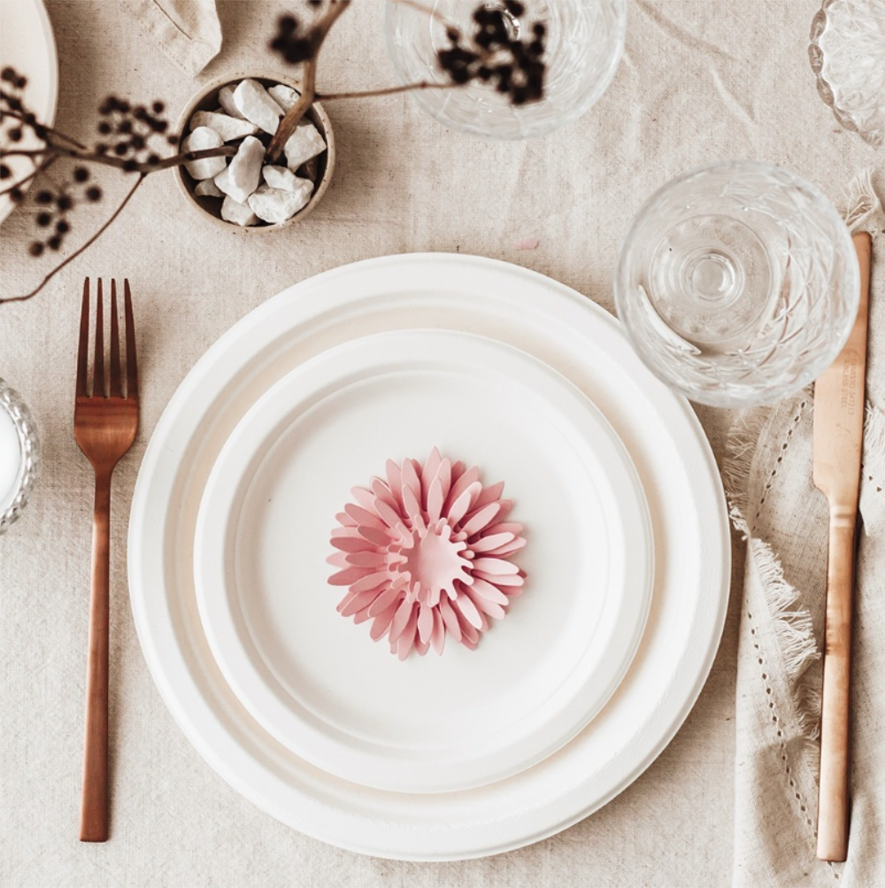 Disposable Food Plates