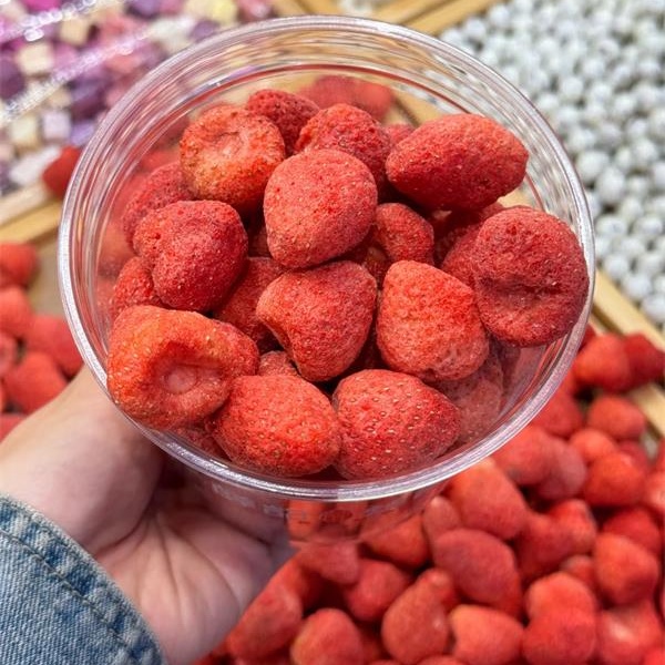 freeze dried meals manufacturer