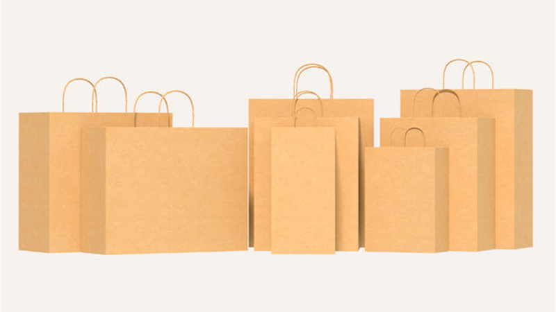 Heavy-Duty Paper Bags: Tough Enough for Real Shopping Loads?