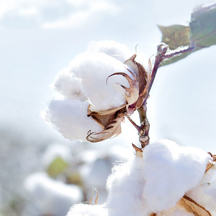 long sleeve sleeping bag