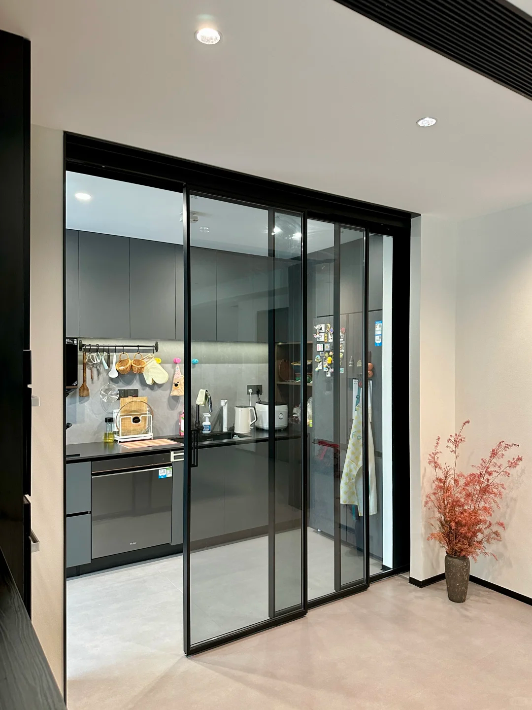 Pocket Door