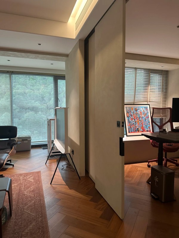 Ultra-narrow Frame Aluminum Pocket Door