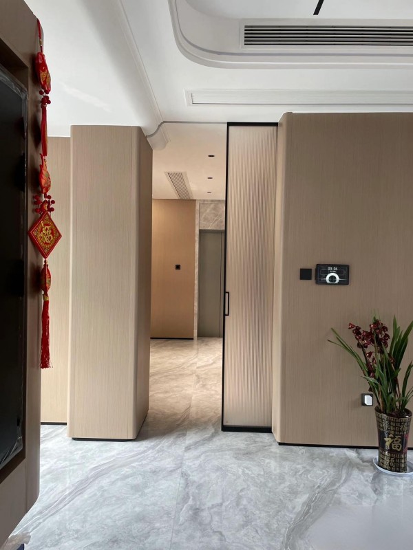 Thin Profile Aluminum Pocket Door