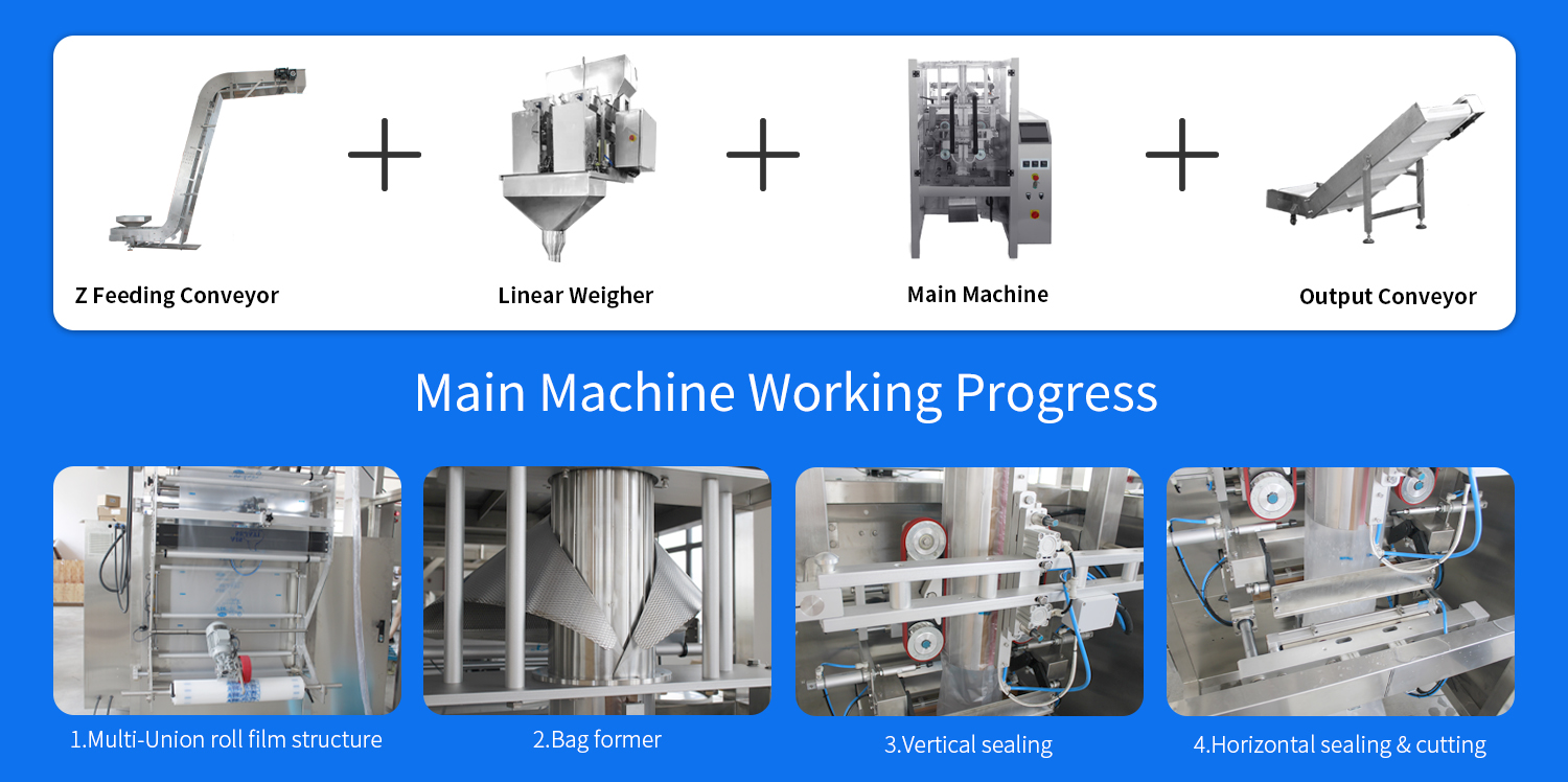 ice cube packing machine