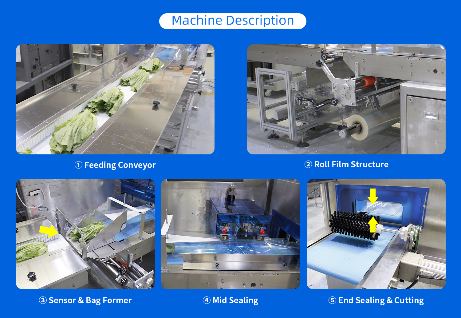 Leafy Fresh Vegetables Packing Machine