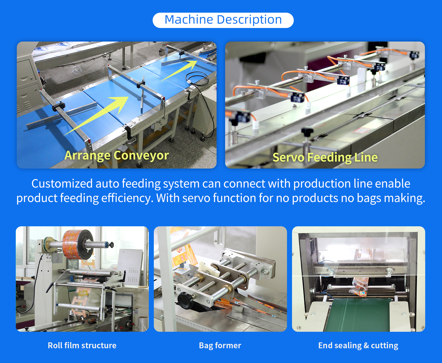 Automatic Feeding Sorting Packing Line