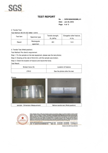 SGS TEST REPORT