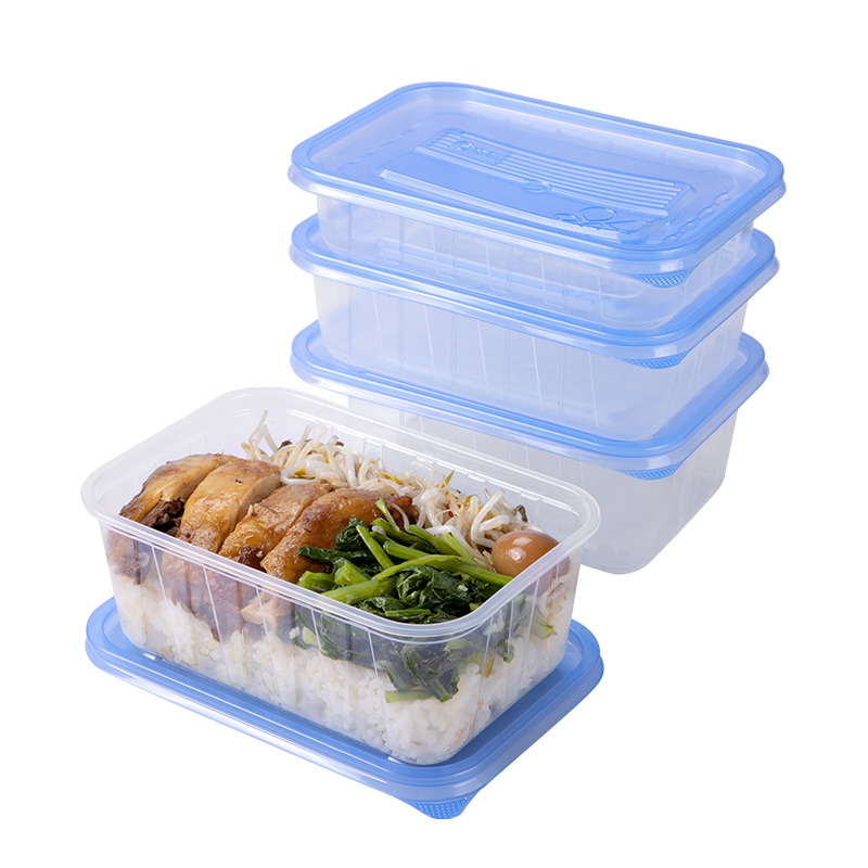 Disposable Transparent blue cover lunch box