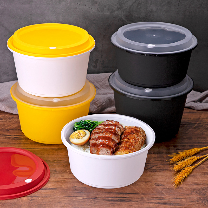 Disposable Anti theft locking lunch box