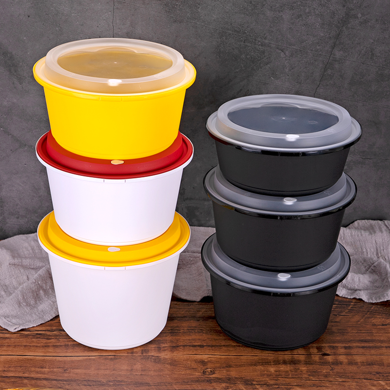 Disposable Anti theft locking lunch box