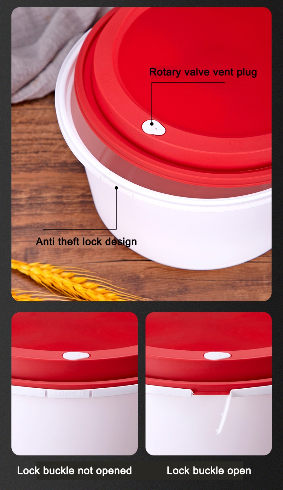 disposable bento box