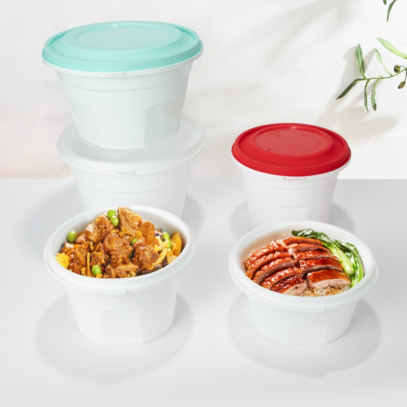 disposable bento box