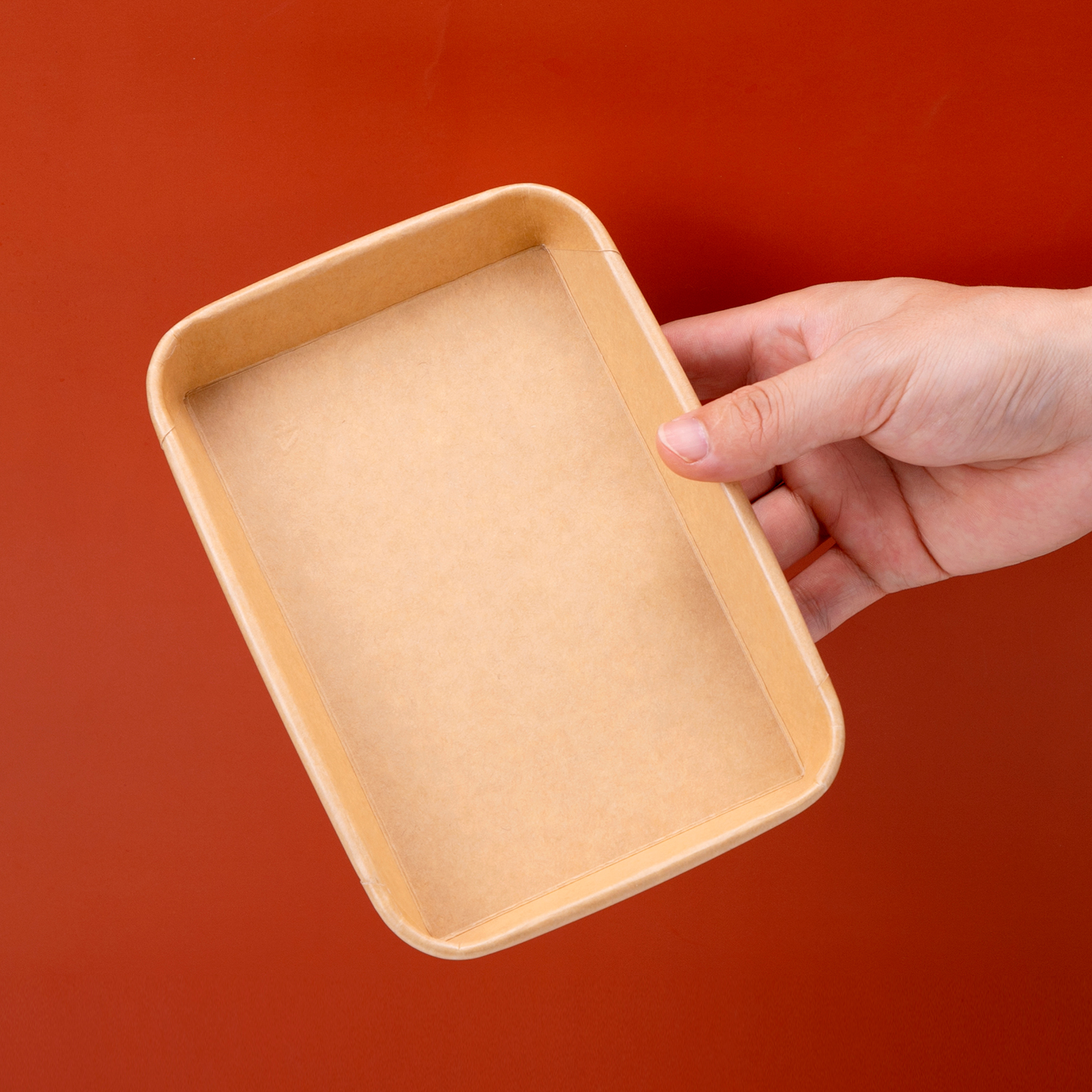 Disposable kraft paper plate