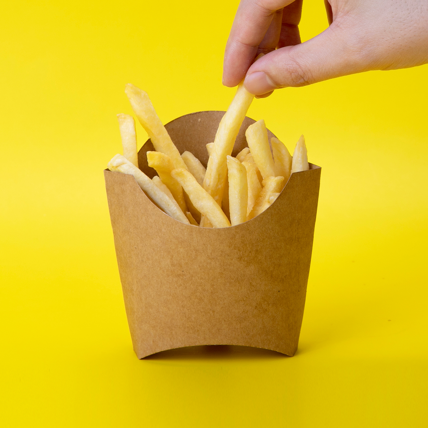 Custom disposable french fries box