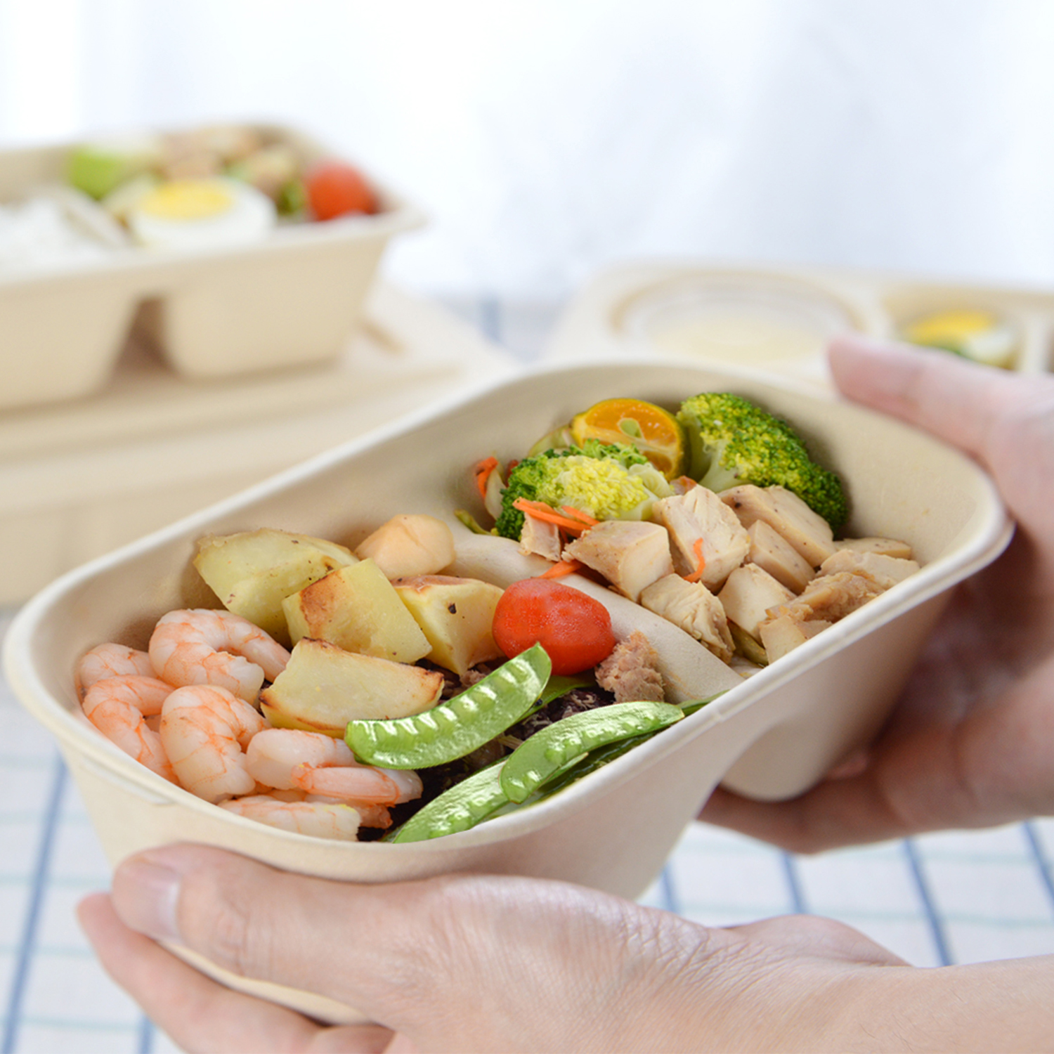 Disposable Pulp lunch packaging box