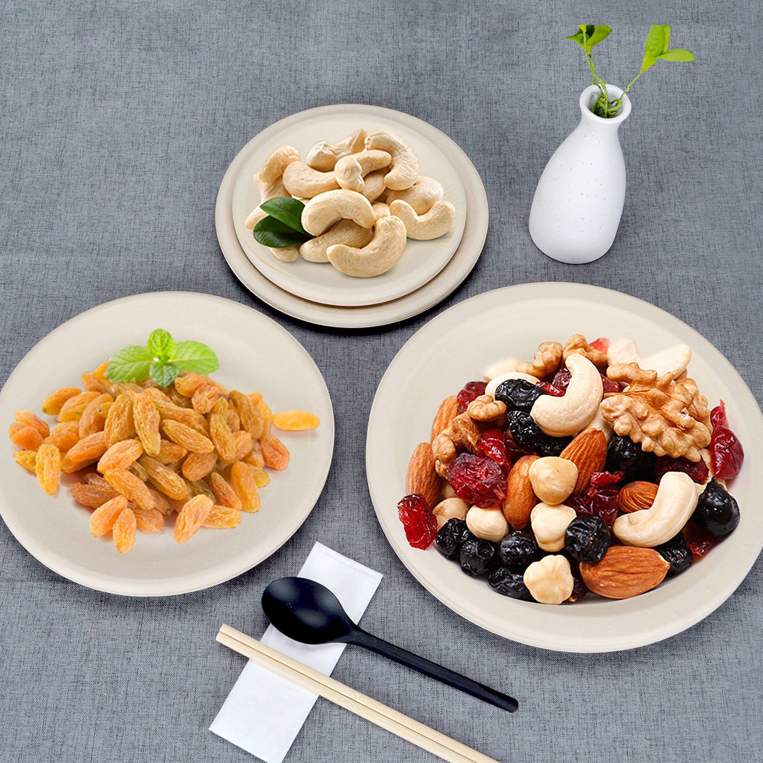 disposable plates disposable plates