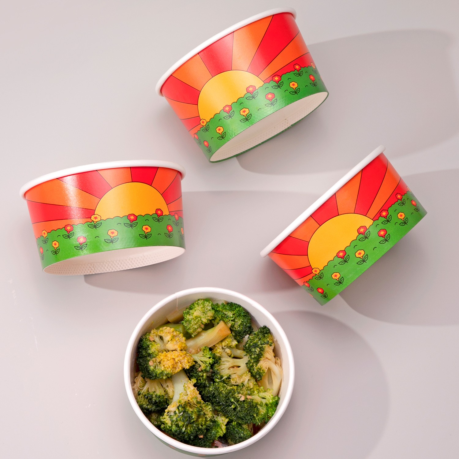disposable food containers disposable food containers