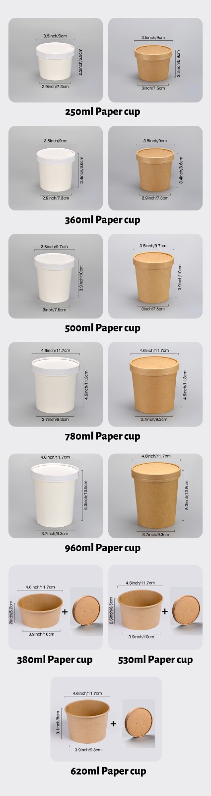 paper bowl paper bowl
