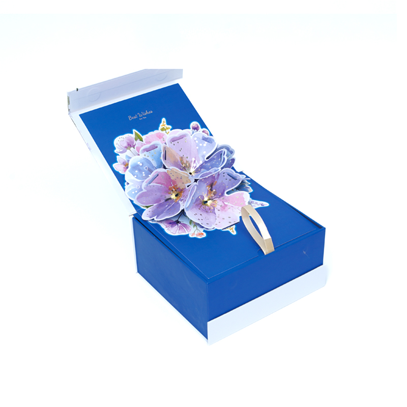 Bestwish Packaging Box