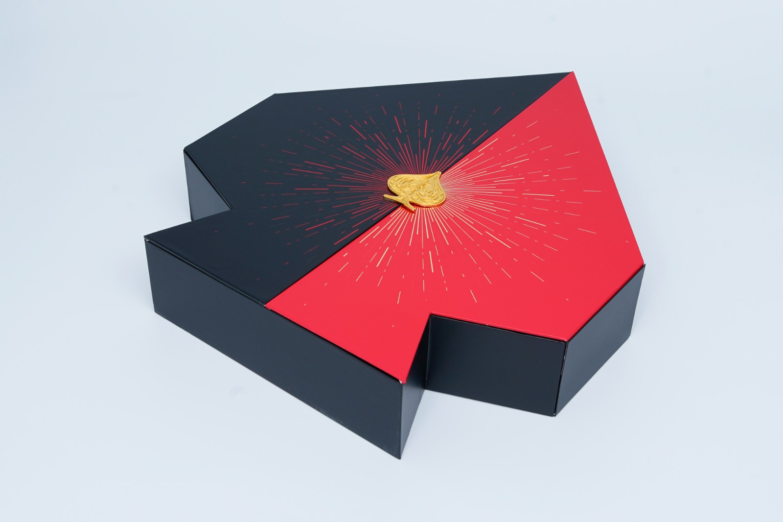 Creative Structural Presentation Case
