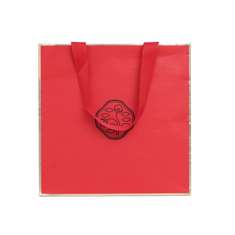 Shiseido Ginza Tokyo Skincare Gift Shopping Bag
