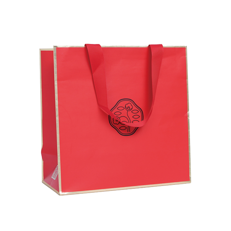 Shiseido Ginza Tokyo Skincare Gift Shopping Bag