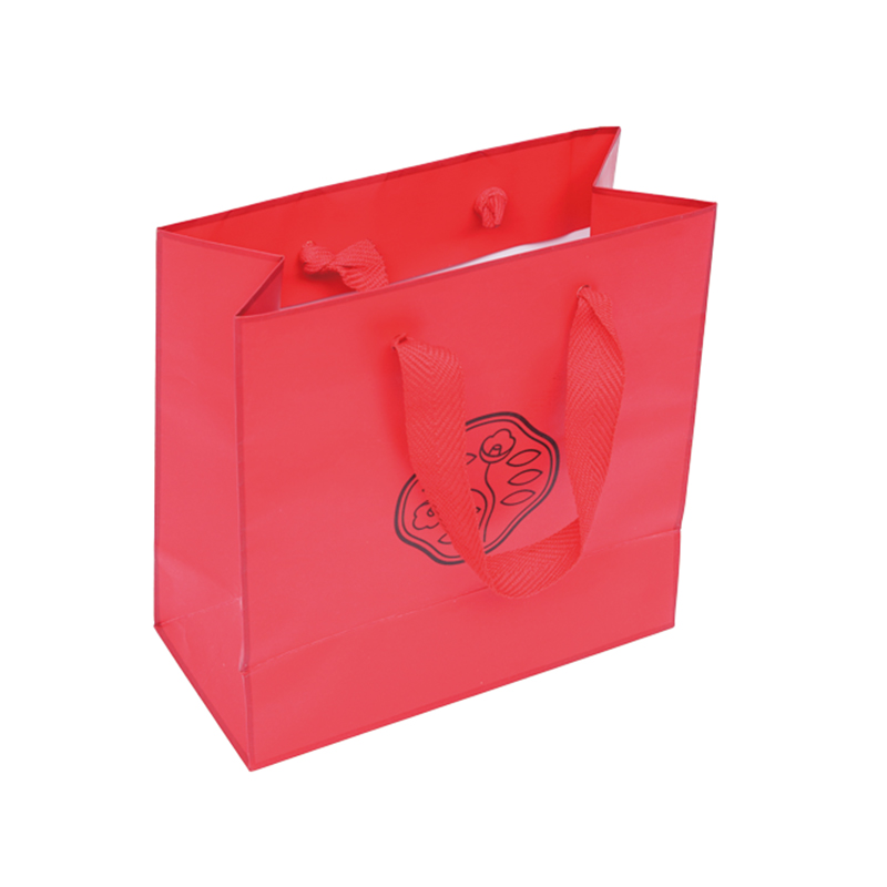 Shiseido Ginza Tokyo Skincare Gift Shopping Bag