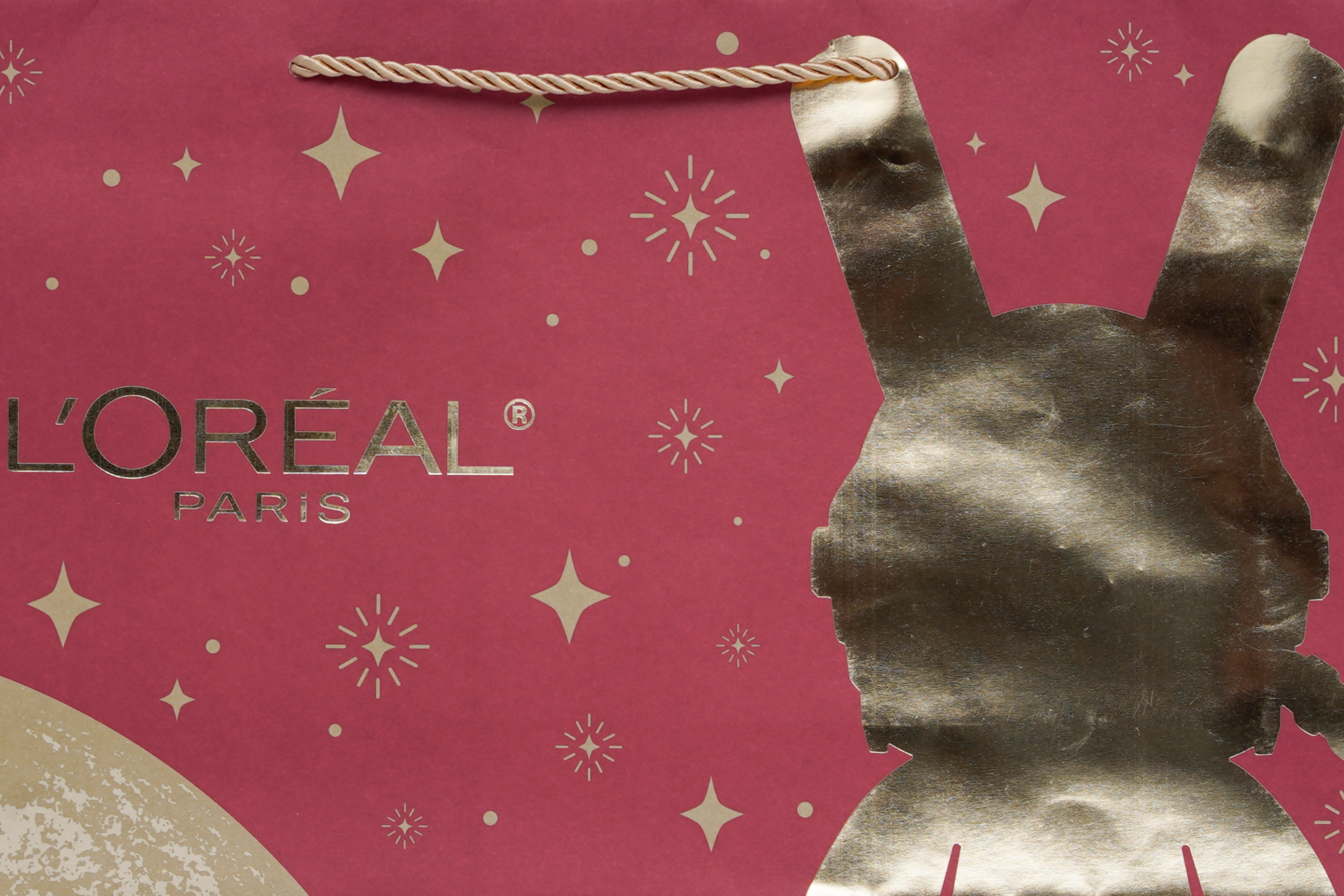 L'Oreal Theme Gift Bag