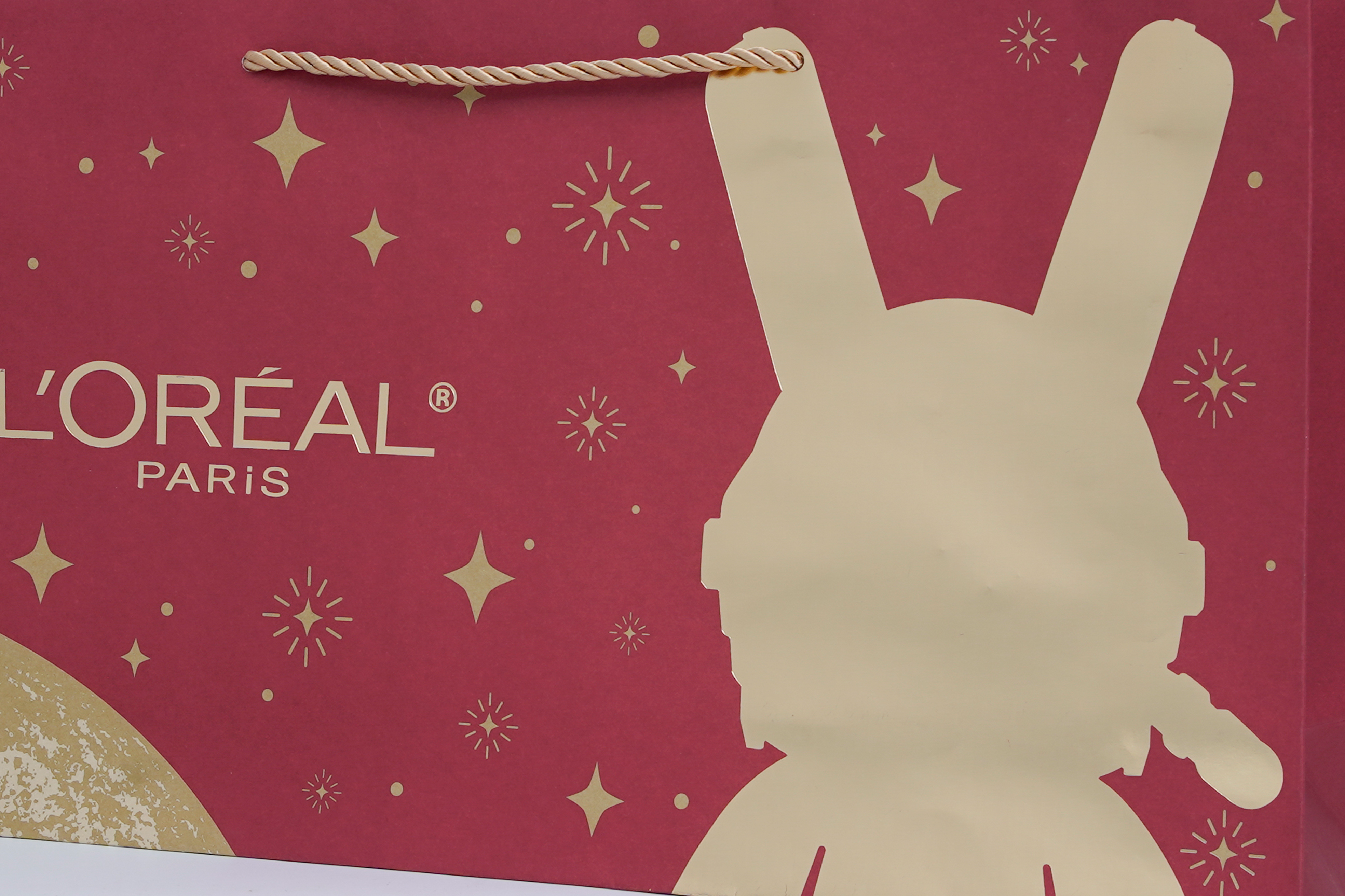 L'Oreal Theme Gift Bag