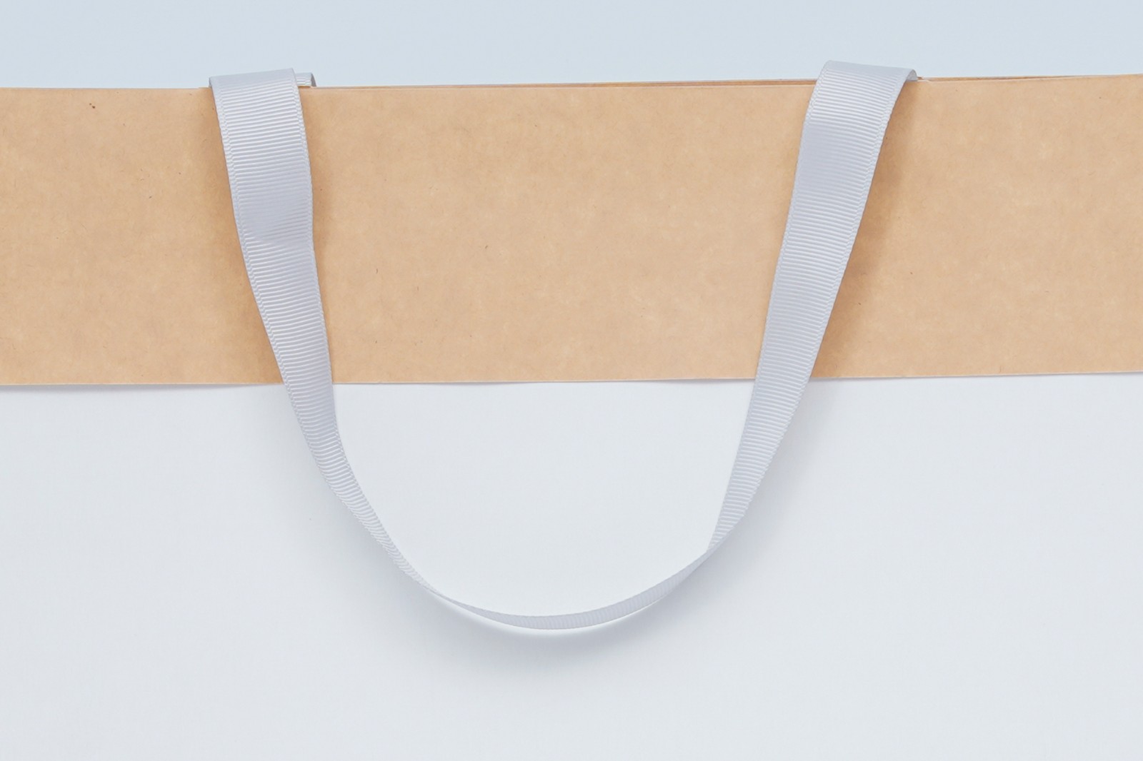 Custom Kraft Paper Bag