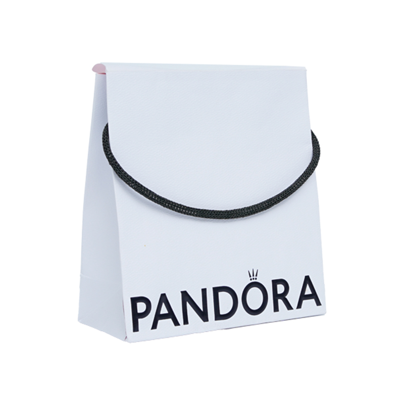 Pandora Paper Bag