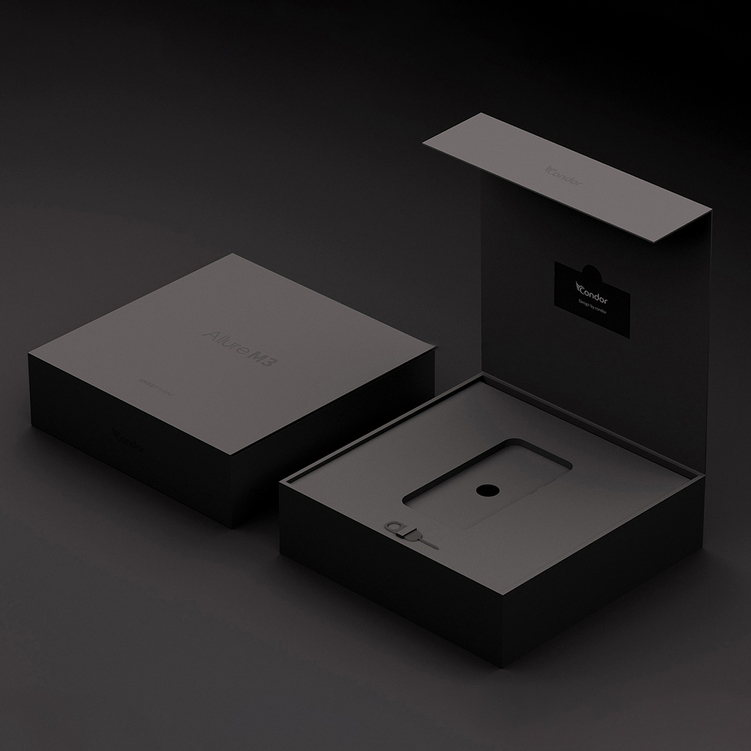 Smartphone Packaging Box