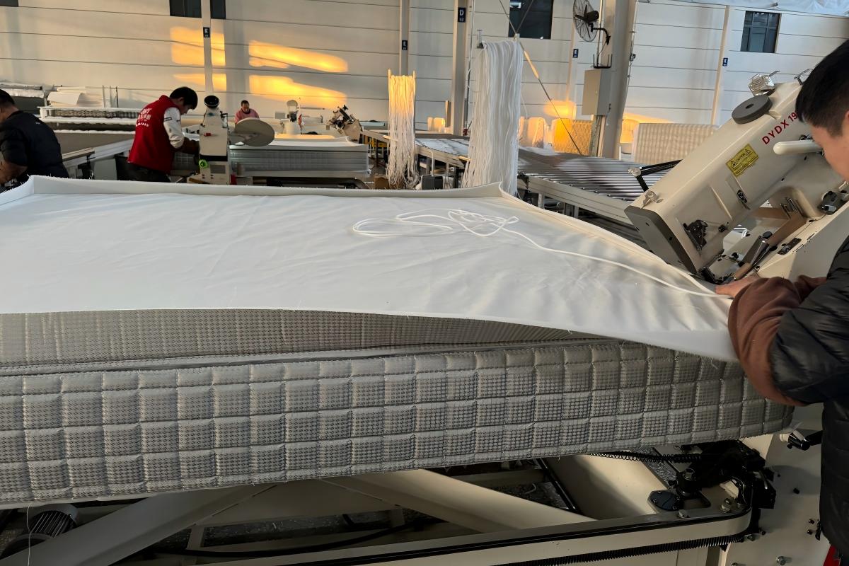 Marshall Coil Mattress