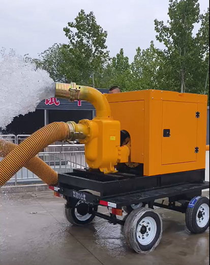 diesel water pump diesel water pump