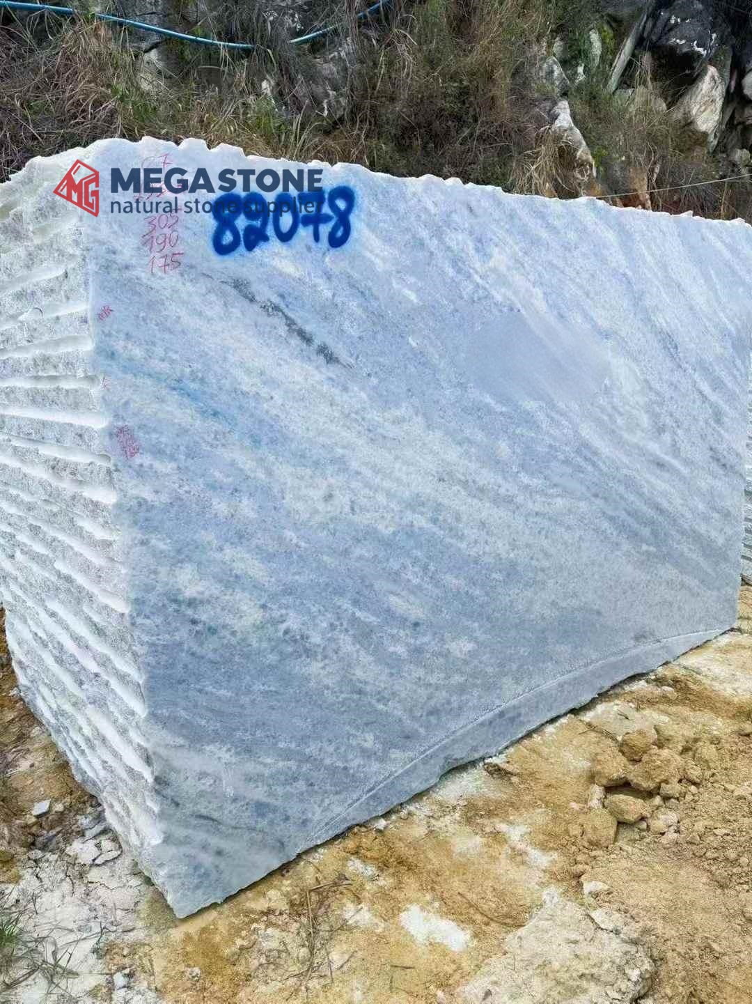 Azul Caribe Quartzite Slab