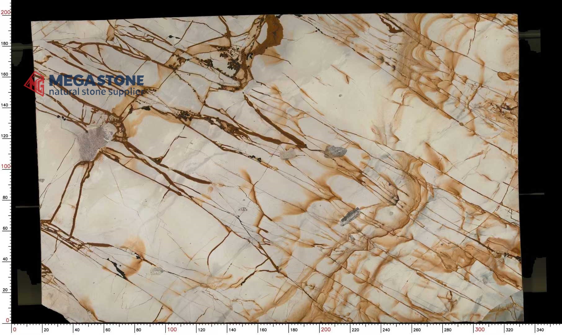 Carpe Diem Quartzite Slab