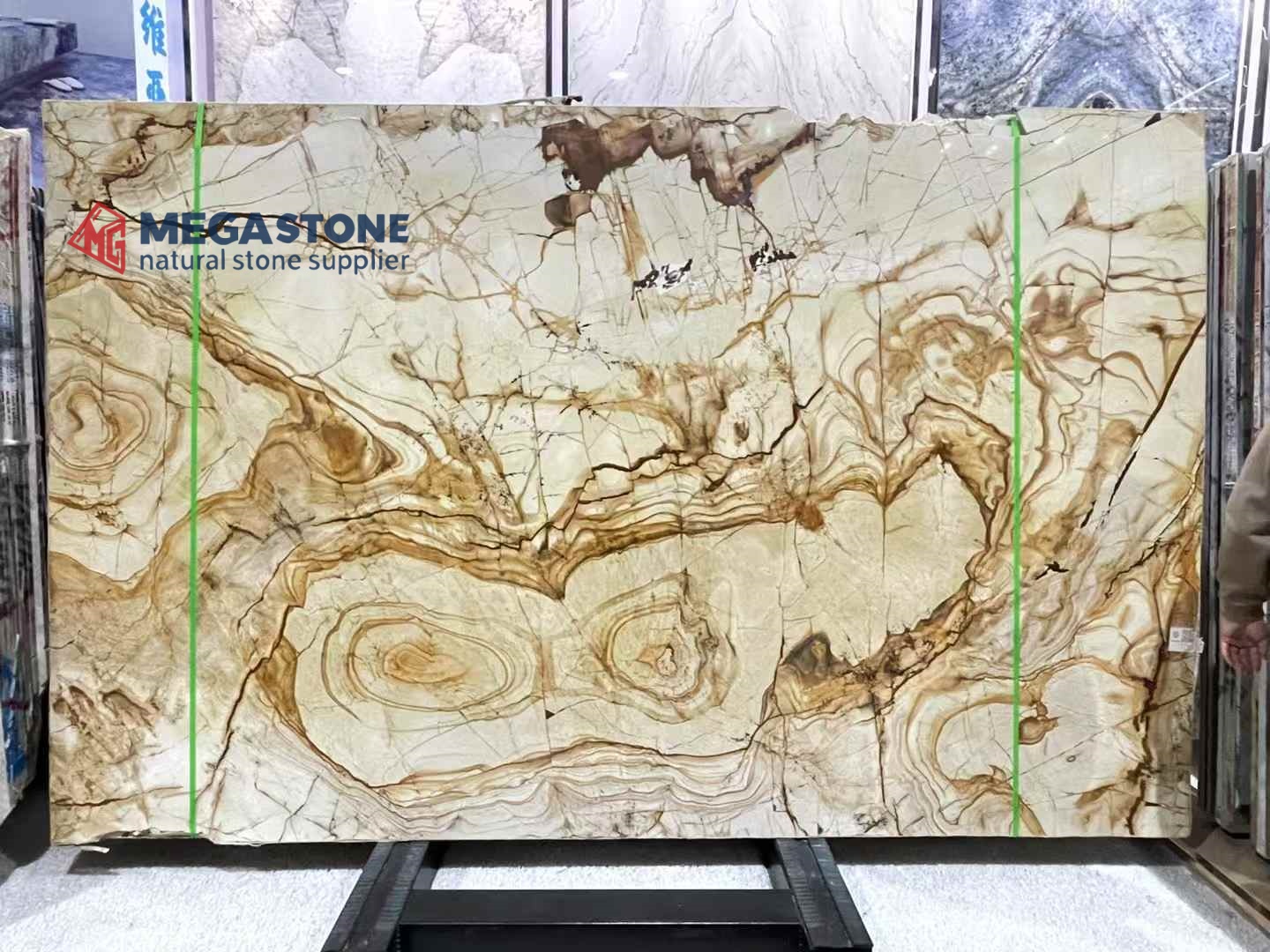 Carpe Diem Quartzite Slab