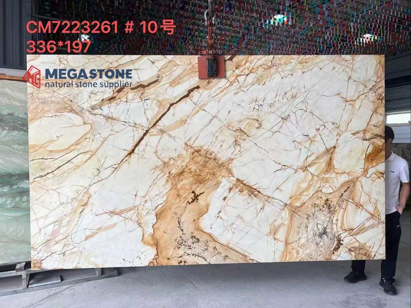 Carpe Diem Quartzite Slab
