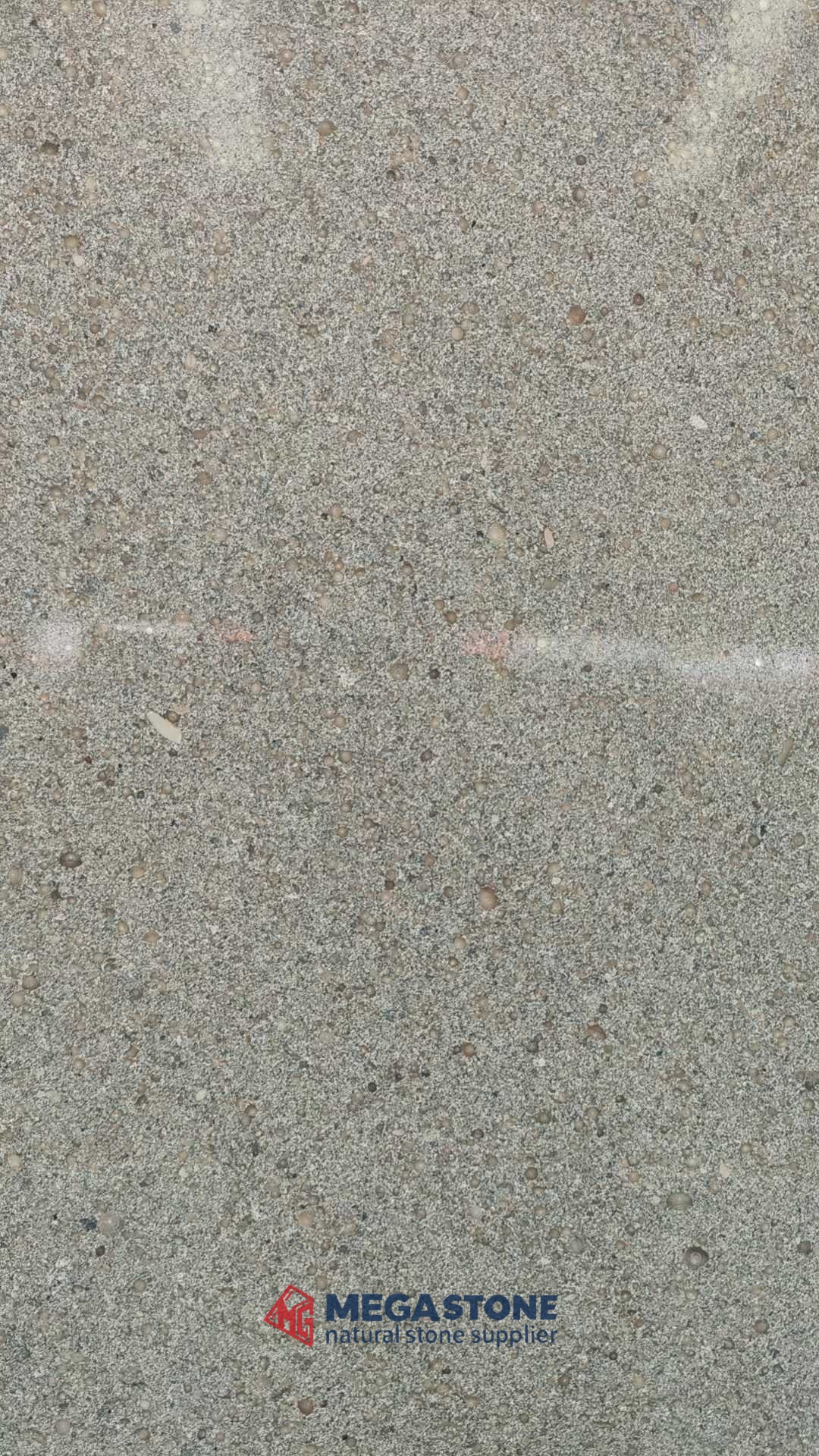 Grey Moca Limestone Moca Silver Limestone