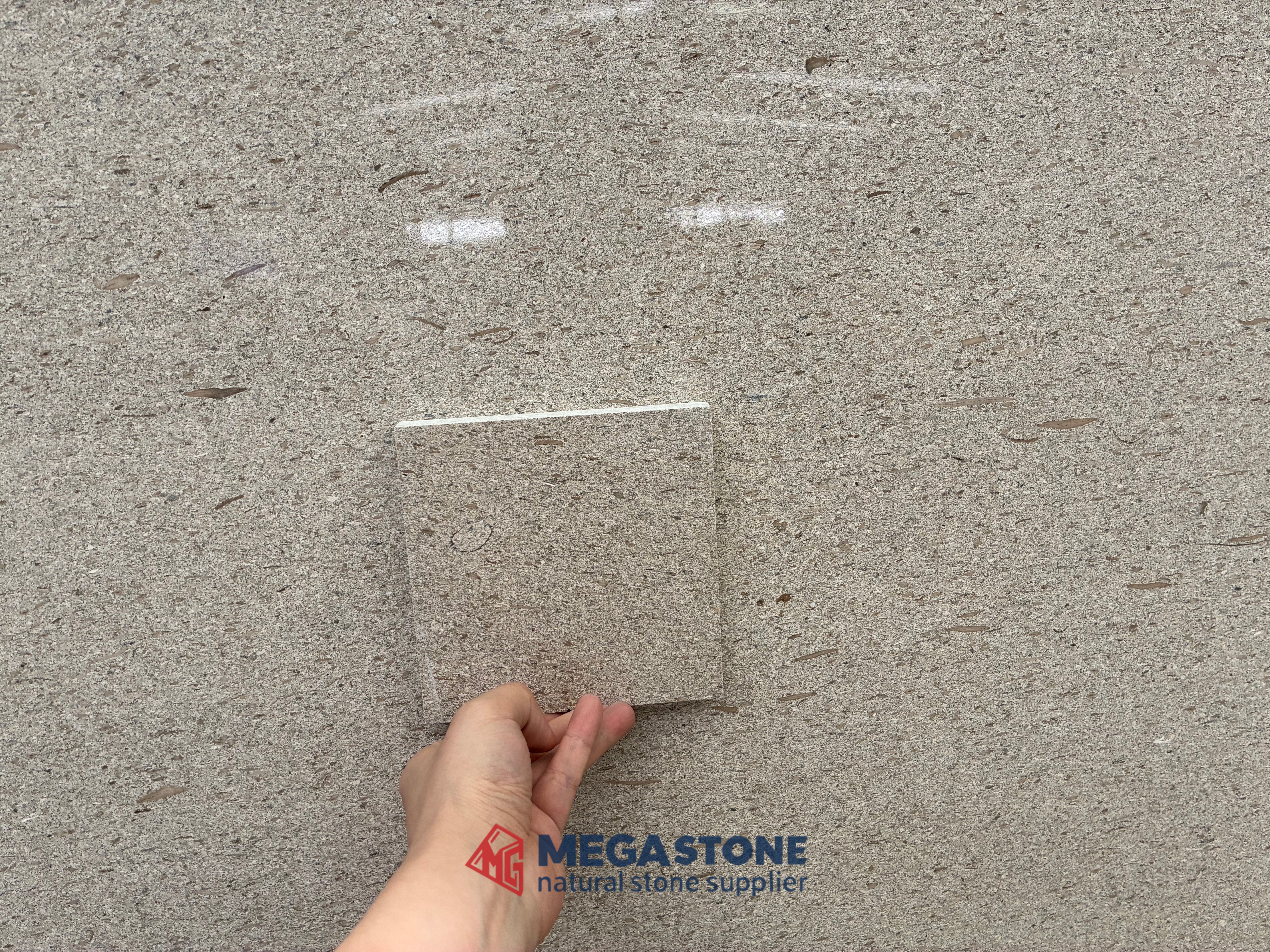 Grey Moca Limestone Moca Silver Limestone